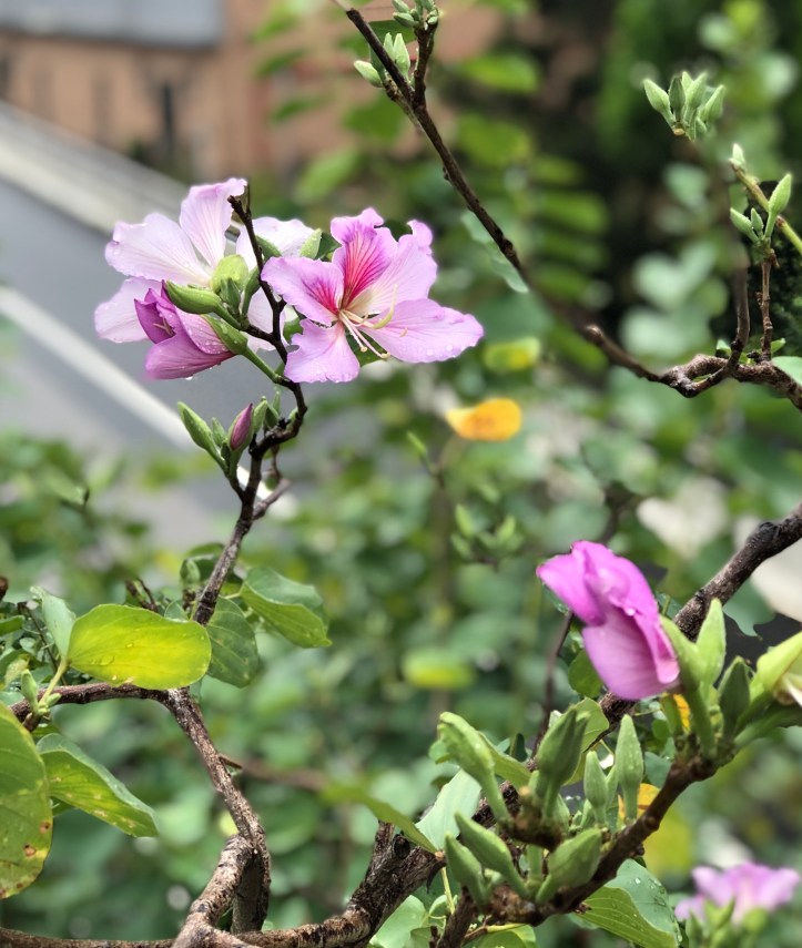 65D17ED5-5B05-4978-9D57-414584C82A88