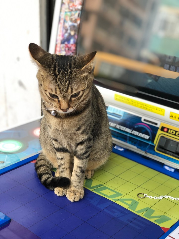 742B1692-CEC2-458E-89C0-D9CA5ADD111E