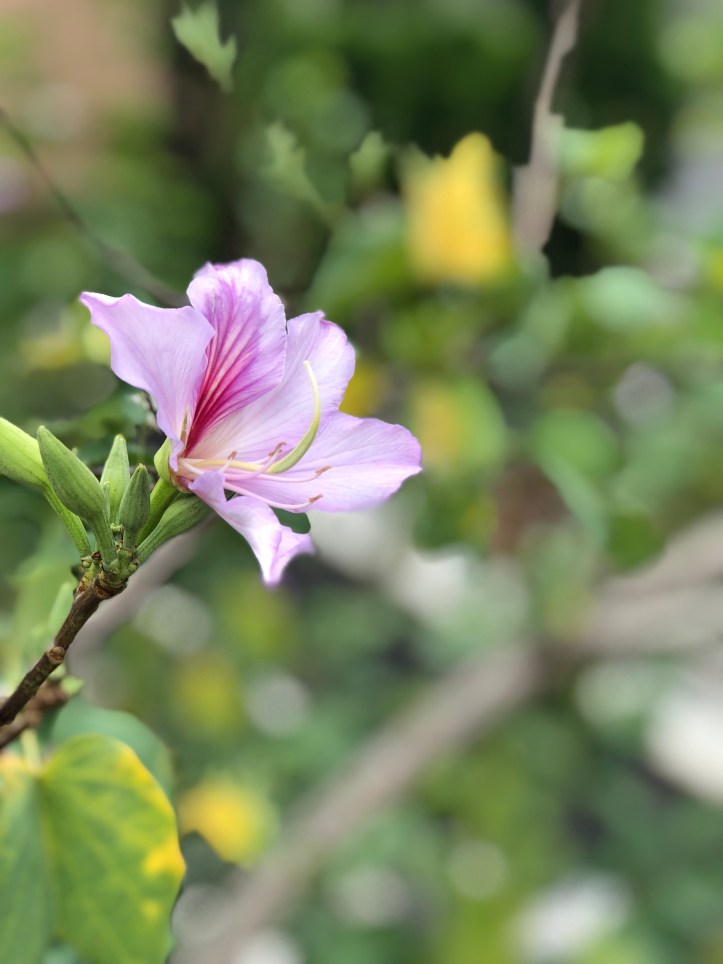 8EE5E907-CB5C-4D49-BE3C-1F78E70B83E7